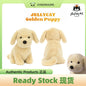 [100% Authentic] JELLYCAT Golden Puppy Plush Doll